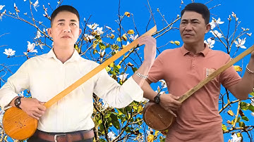 Tính Tẩu | Đàn Tính Tẩu Say Đắm – Giọng Hát Ngọt Như Mật | Khắp Thái