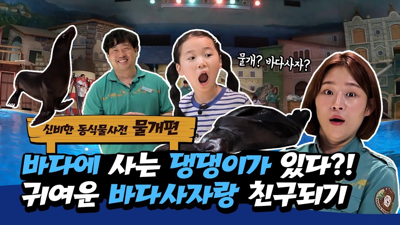 [신비한동식물사전 시즌2] 물에서만 사는 댕댕이가 있다?! | 물개섬에 간 지명이&아림이