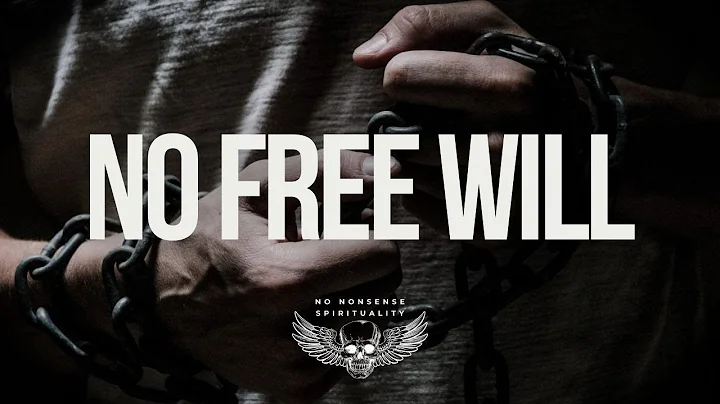 Why Free Will is a Lie! (And What That Means for You)