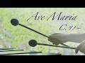 マリンバの響きに包まれる|癒しのクラシック|アヴェ マリア Ave Maria | シャルル・グノー C.Gounod