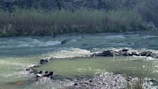Snively Hot Springs