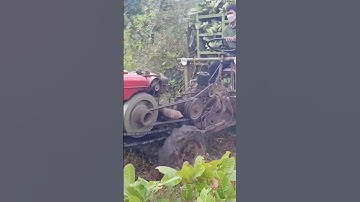 #shorts xe công nông chở 2 câu chuối đây xe