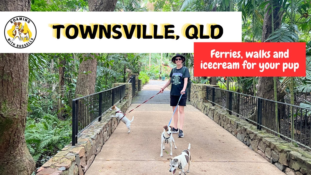 Exploring Townsville, QLD. Tropical Beaches, City Vibes, and Urban Perfection!