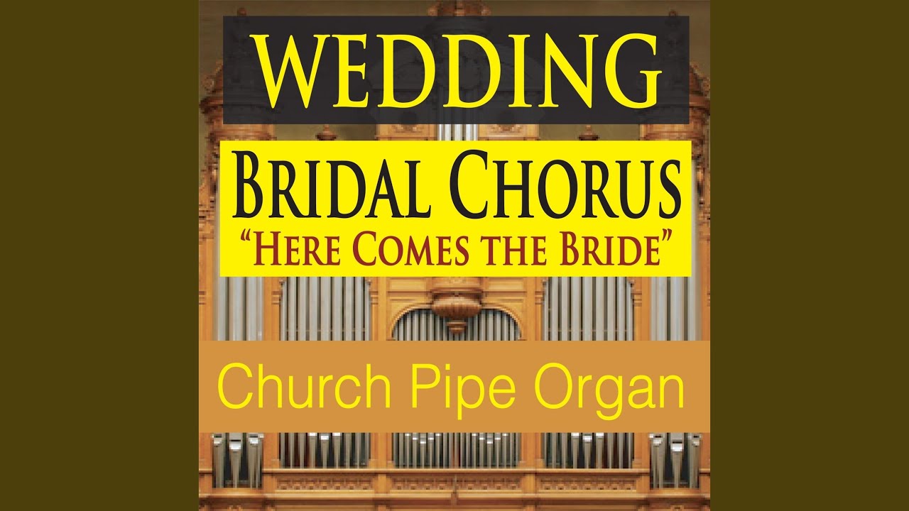 Wedding Bridal Chorus (Here Comes the Bride) (Church Pipe Organ) YouTube