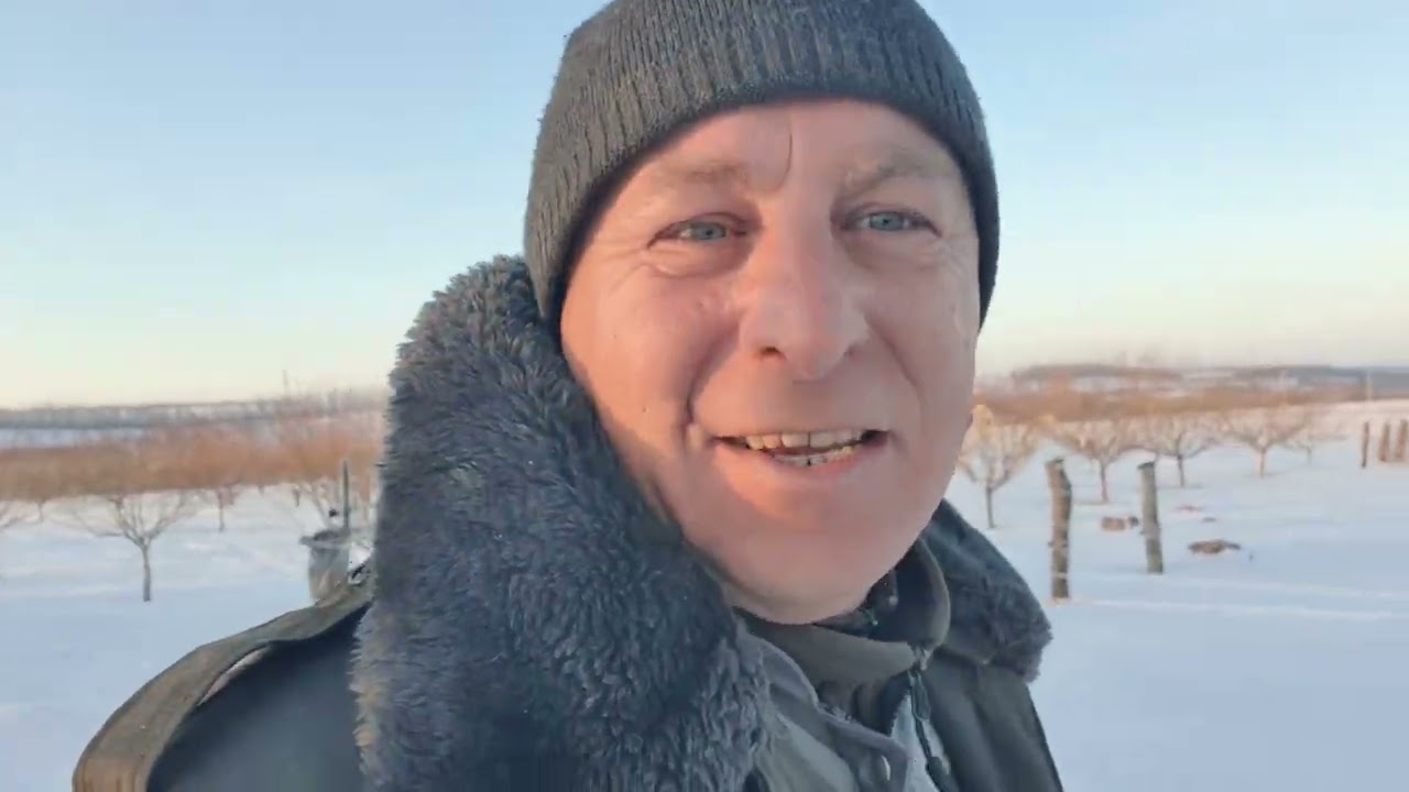 Нічого невимерзло,  Відміна  тривоги. 