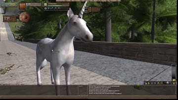 WURM UNLIMITED first impression