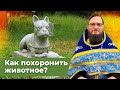 Как похоронить животное?  Священник Антоний Русакевич