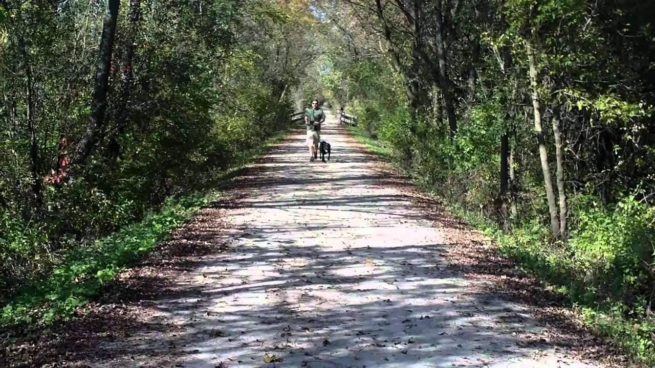 Alden's Kennels Inc. Dog Training Kenosha Wi YouTube