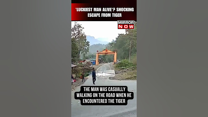 WATCH: Man's Shocking Escape From A Tiger #shorts