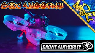 SGDC FunFly Q3