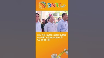 Chủ tịch nước Lương Cường dự Ngày hội Đại đoàn kết toàn dân tộc tại xã Gò Nổi