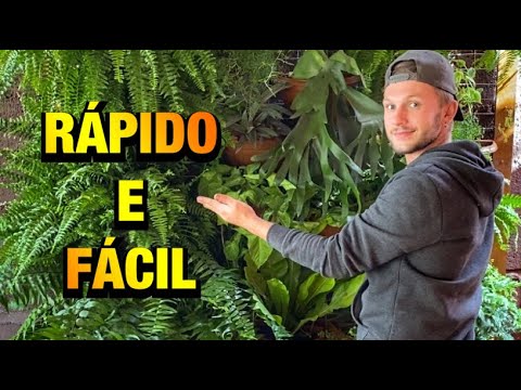 Vídeo: Idéias de madeira flutuante para jardins - Aprenda sobre o que fazer com madeira flutuante