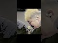 질주모빌리티 부산진구점 복권긁기 이벤트 진행중