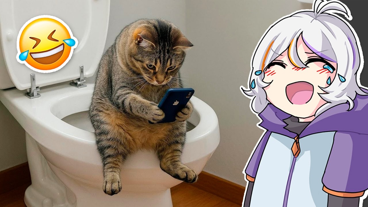 SI TE RIES 5 VECES PIERDES NIVEL GATITOS Y PERRITOS 🤣😂