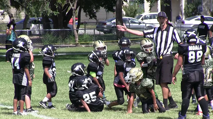 Youth Football Highlights 2016, Dash Simper #25, WFFL Clearfield Thunder, Football Highlights.