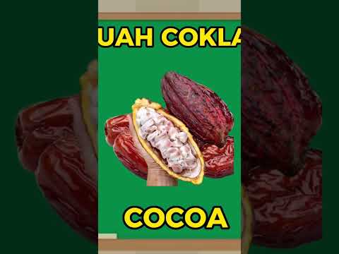 What Is Buah