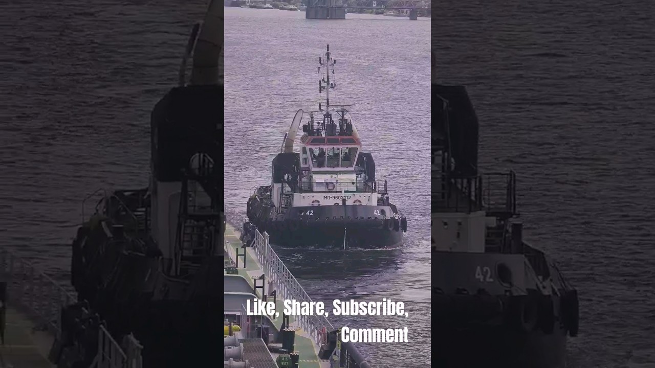 Unmooring Magic: Witness the Mighty Tugboat Arrive in Action!