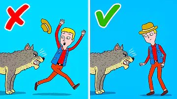 O que fazer quando encontrar um gorila?