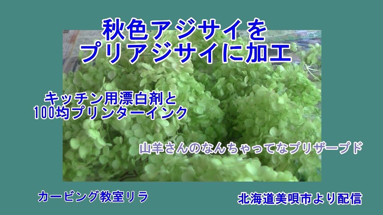 【ソープカービングの花材】お庭のアジサイを100均材料でプリザーブド風に加工します～美唄市から配信