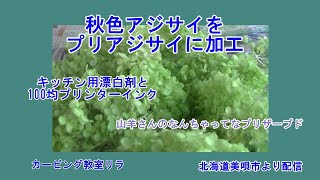 【ソープカービングの花材】お庭のアジサイを100均材料でプリザーブド風に加工します～美唄市から配信