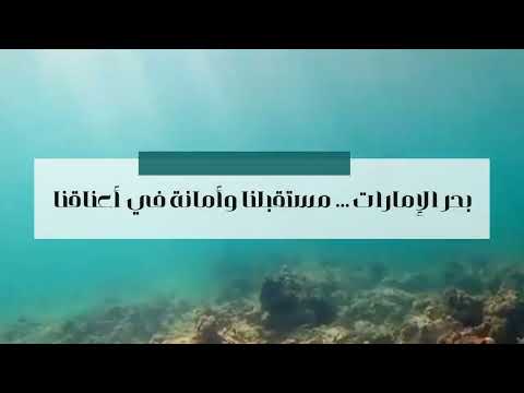 بحر الإمارات إرث وحياة