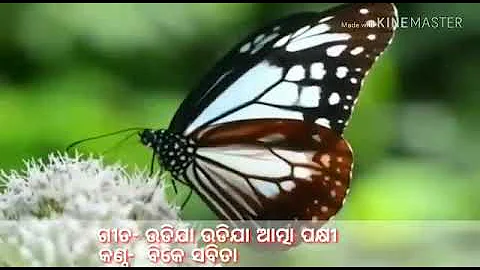 Brahmakumaris new odia song