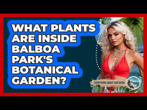 What Plants Are Inside Balboa Park's Botanical Garden? - Everything About San Diego