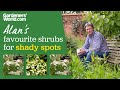 Five shrubs for shade  alan titchmarsh