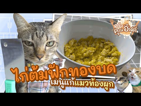 วีดีโอ: อาการบาดเจ็บที่ขาของสุนัข