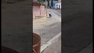 Счастливое детство #юмор #failsvideo #fail #прикол #memes #shortvideo #смех #угар #funny