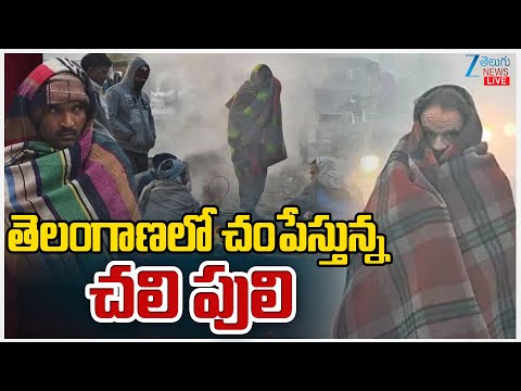 LIVE: Winter Cold Wave Hits Telangana HARD! | Weather Updates | తెలంగాణలో చంపేస్తున్న చలి పులి | ZEE - ZEE24TELUGUNEWS