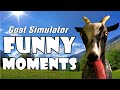 Goat simulator  funny moments