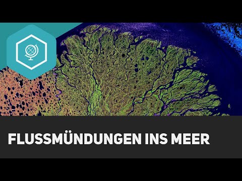 Video: Wo lagern mäandrierende Bäche die meisten Sedimente ab?