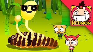 The Invincible One In Water And Cordyceps Militaris Mushroom Insect World Redmon