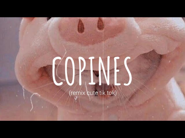 [Vietsub + Lyric] Conpines (remix cute) - Aya Nakamura | Music Tik Tok class=