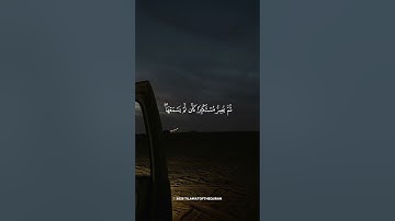 📖🤎 قرآن كريم بصوت القارئ ياسر الدوسري | تلاوة هادئة ومريحة تهدئ الأعصاب وتشرح الصدر 😴✨