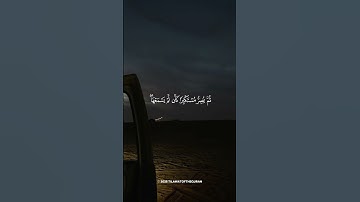 📖🤎 قرآن كريم بصوت القارئ ياسر الدوسري | تلاوة هادئة ومريحة تهدئ الأعصاب وتشرح الصدر 😴✨