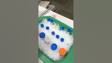 Centrifugal Ultrafiltration in Action:Protein Purification Step