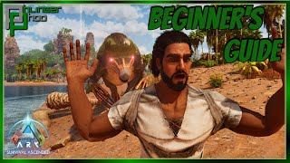 How To Survive In Ark Before Your First Tame - Beginners Guide To Ark Survival