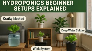 🌿 Hydroponics Beginner Setups Explained 🌿