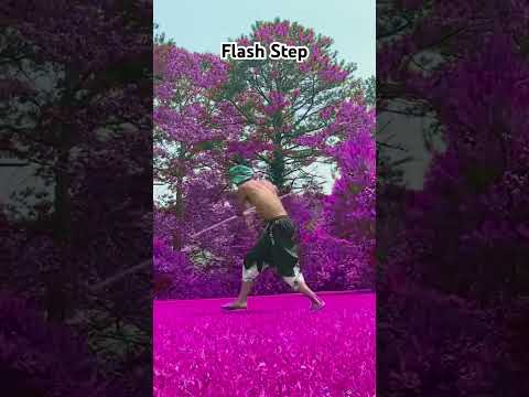 Bo Staff User