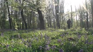 DANS LE SILENCE - Jean Humenry -