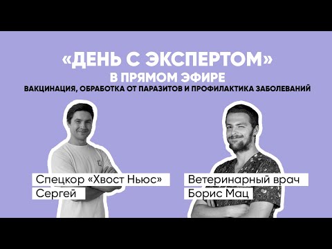 «День с экспертом». Ветеринарный врач о вакцинации, обработке от паразитов и профилактике