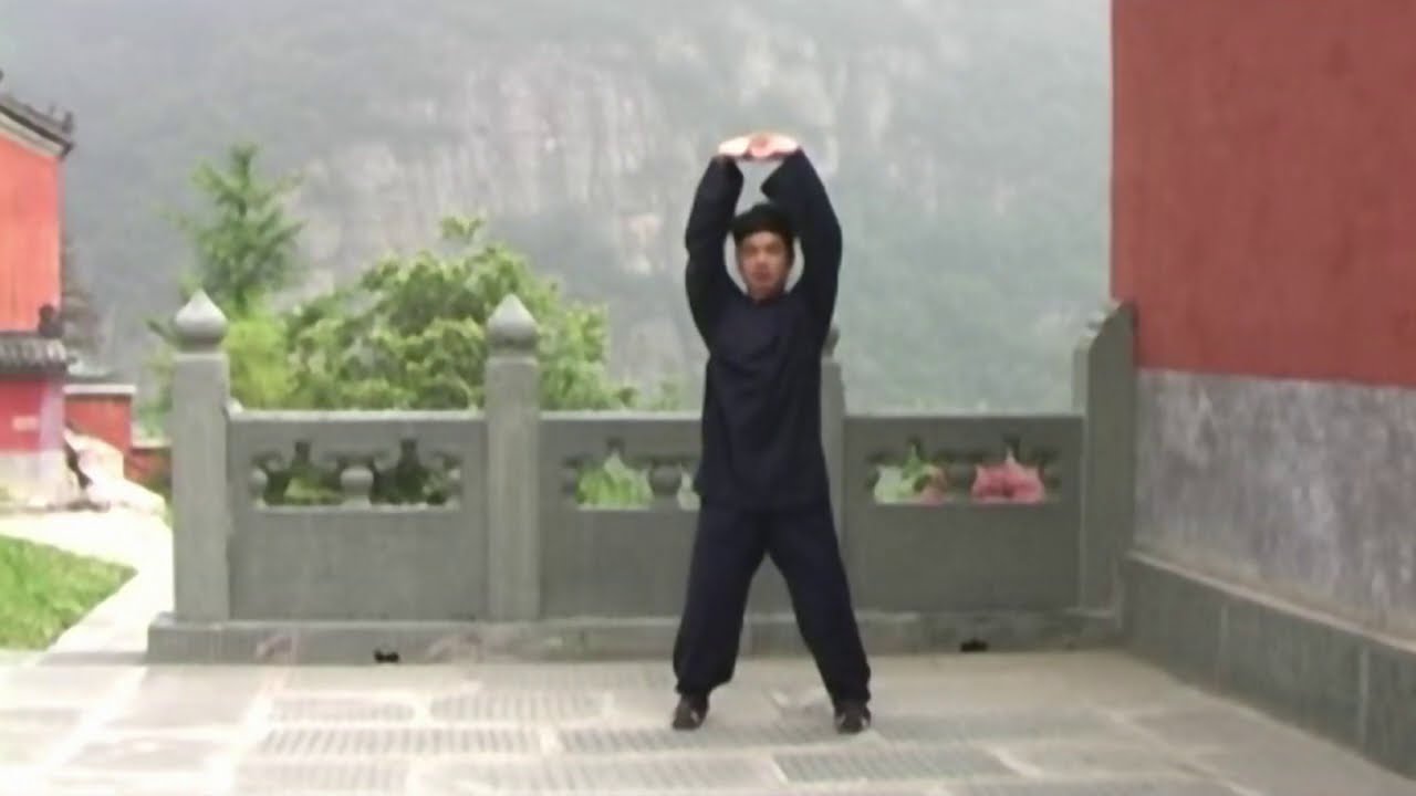 Practicing Qi Gong with Master Chen Shiyu - Part 1
