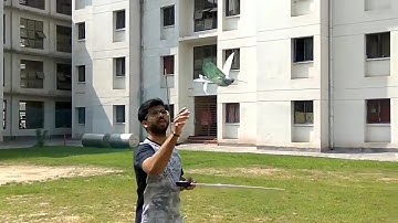 Flapping test 2 by Mechtronics & Robotics Lab,ME,IIT Guwahati