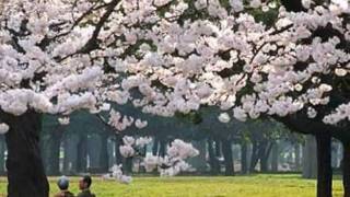 Hab oft im Kreise der Lieben - ("Frisch gesungen" von Friedrich Silcher) chords