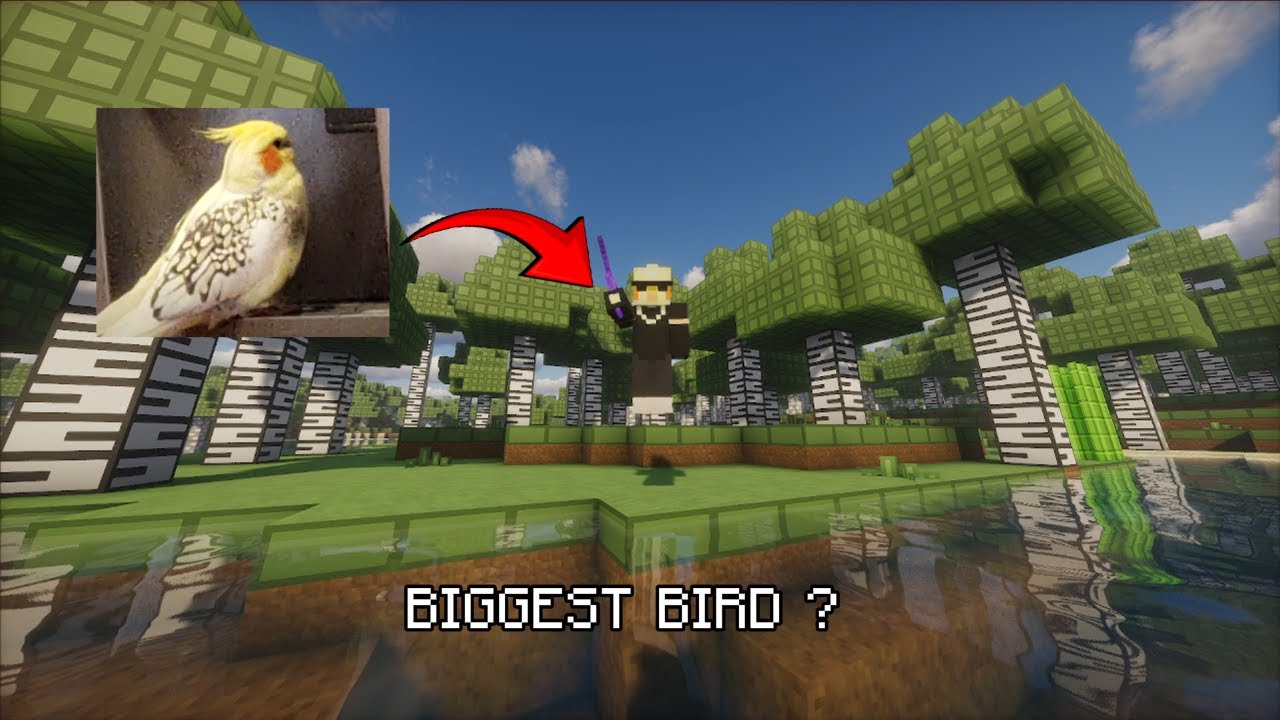 What if Theobaldthebird Tier Tested ?