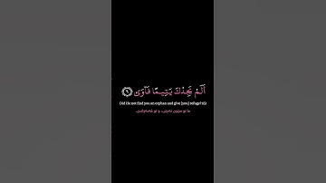 الضحى، ماهر المعيقلي، القران الكريم شاشة سوداء mahir al muayqali , quran kareem english translation