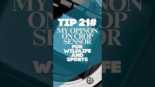 Why crop sensor #cameras are secretly AMAZING for #wildlife and #sports photography Tip 21 of 365