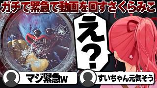 [Commentary] Sakura Miko is slaughtered in the first move [HoloLive/Sakura Miko/Cutout] #Sakura Miko